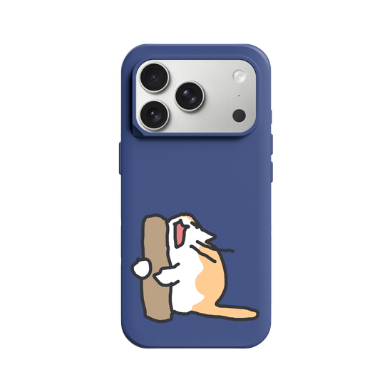 What is the cat doing?