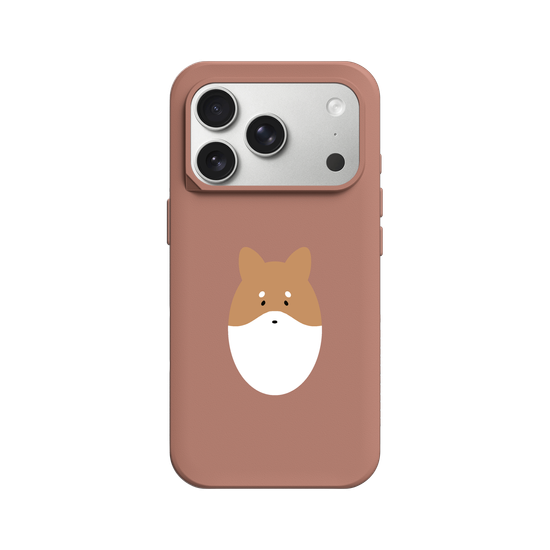 Animals - Shiba Inu Dog