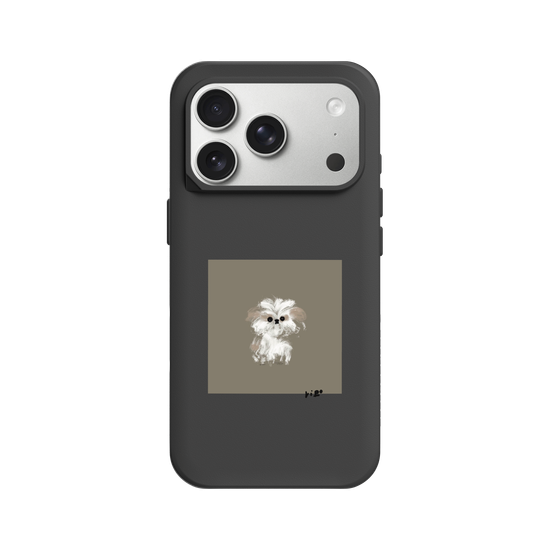 A little Shih Tzu