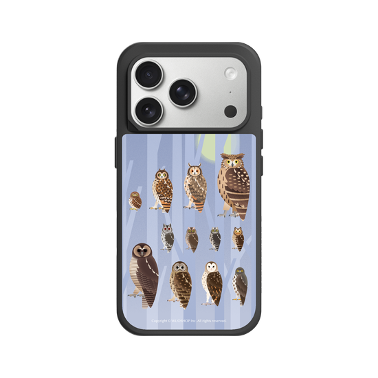 Miniature Field Guide-Owls(Color)