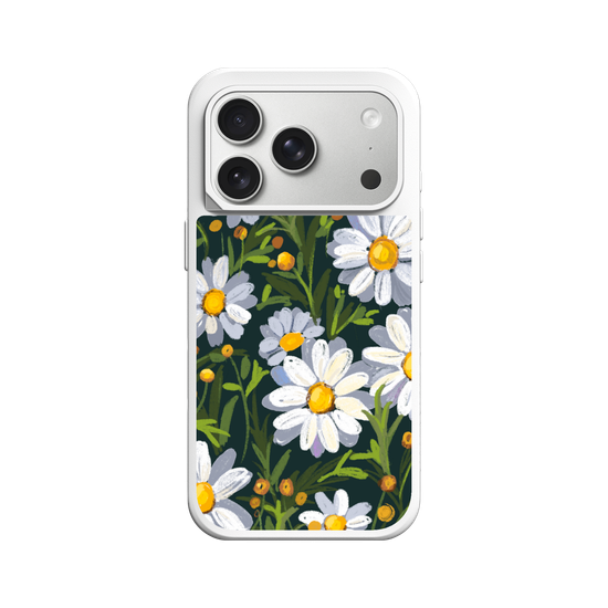 Sunny Daisy field