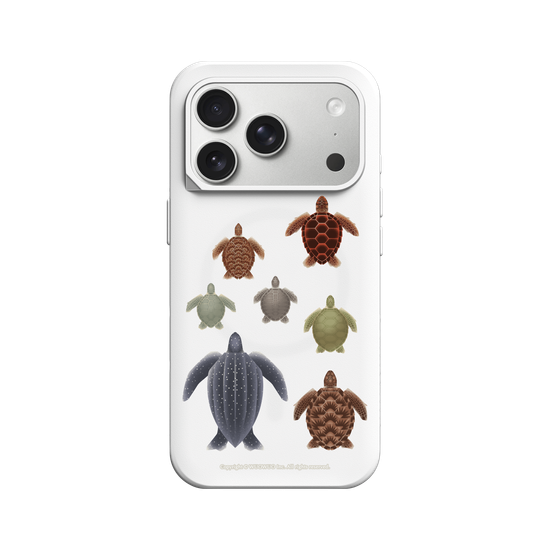 Miniature Field Guide-Sea ​​Turtle(Clear)