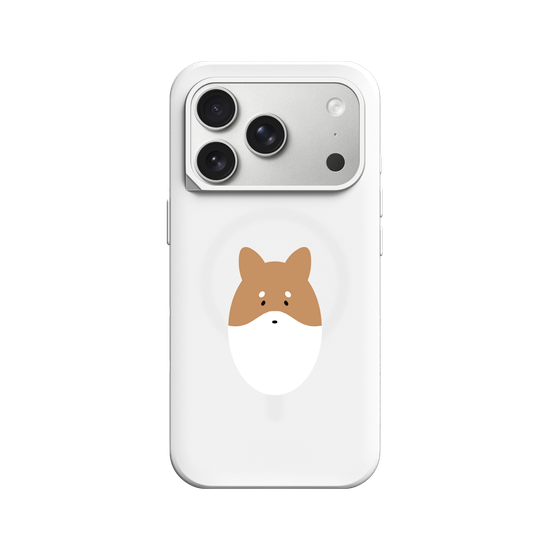 Animals - Shiba Inu Dog