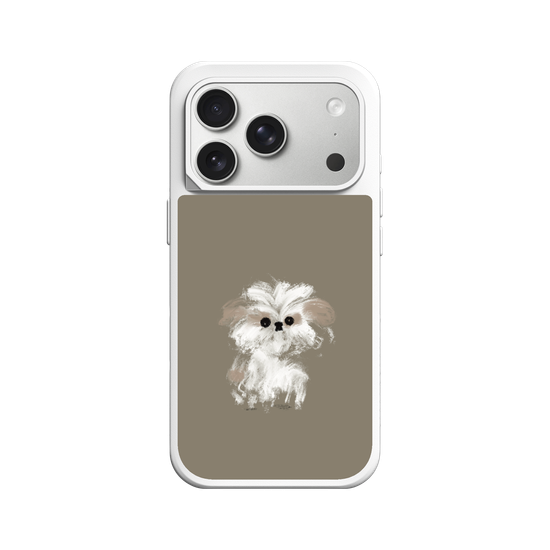 A little Shih Tzu