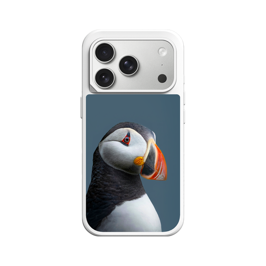 Puffin