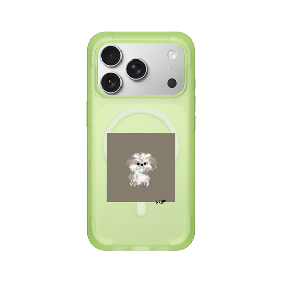 A little Shih Tzu