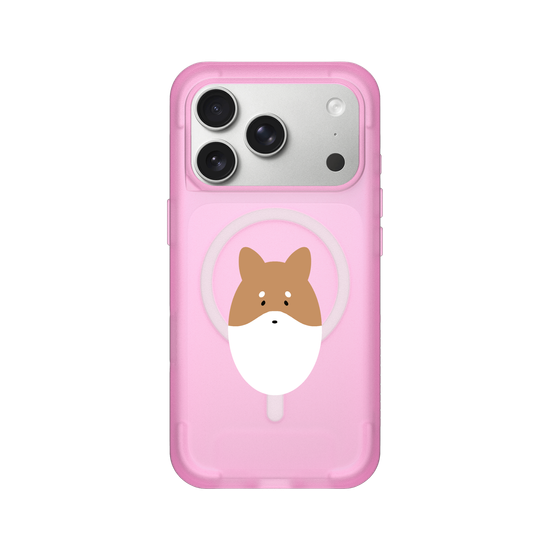 Animals - Shiba Inu Dog