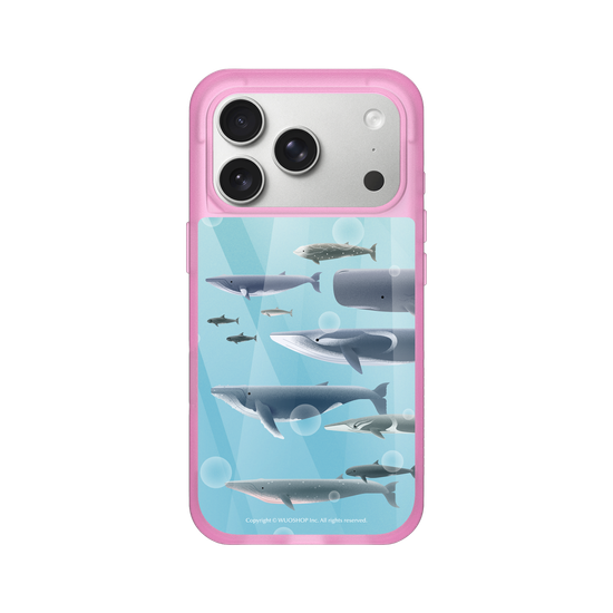 Miniature Field Guide-Whale(Color)