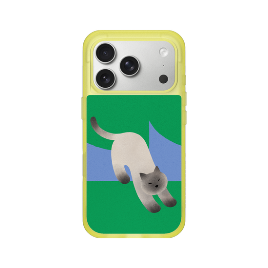 A Stretching cat