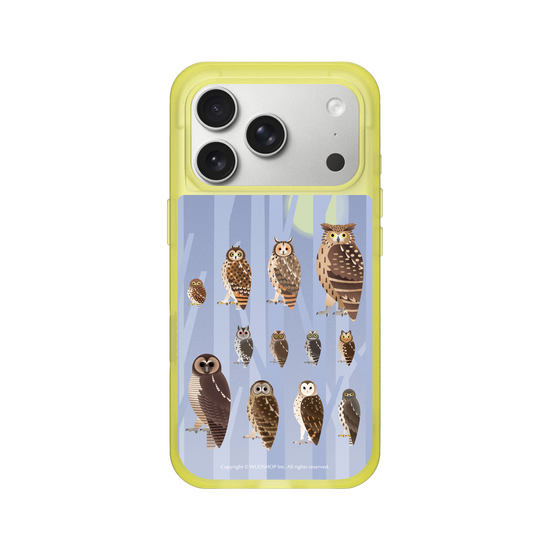 Miniature Field Guide-Owls(Color)
