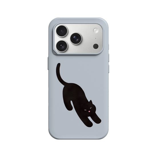 A Stretching cat