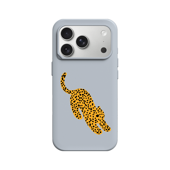 A Stretching cheetah