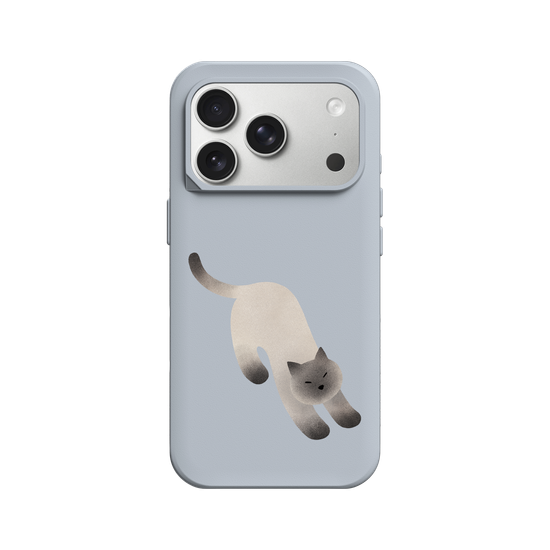 A Stretching cat