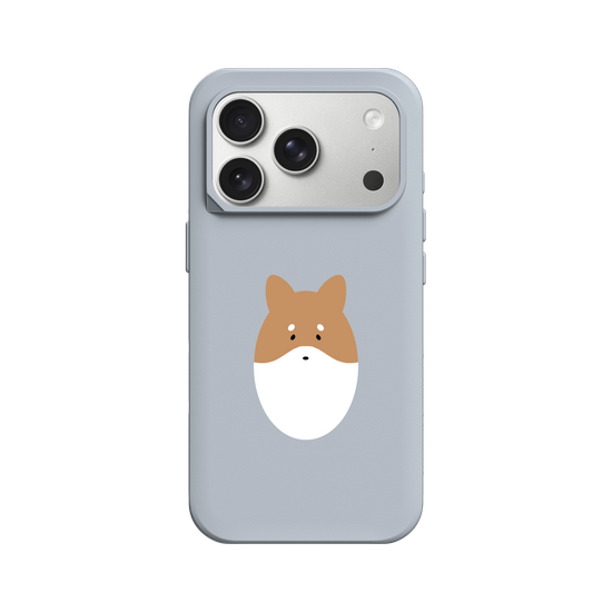 Animals - Shiba Inu Dog