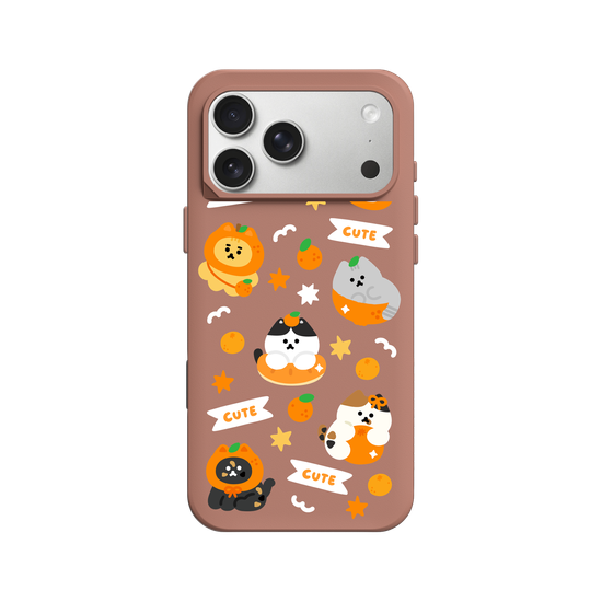Orange Cat 🍊