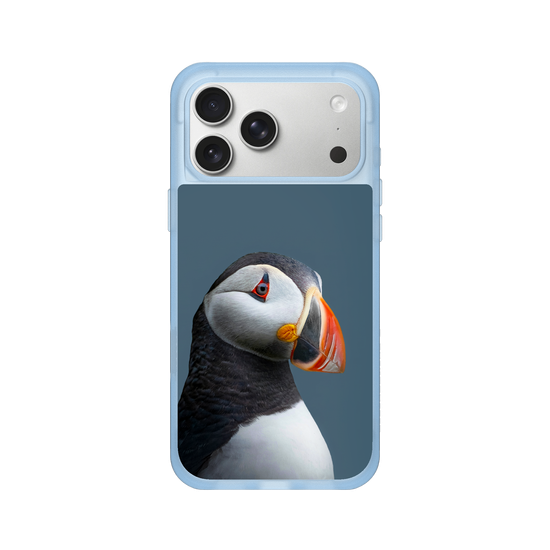Puffin