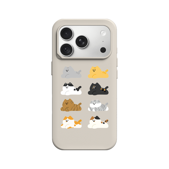 many cats 