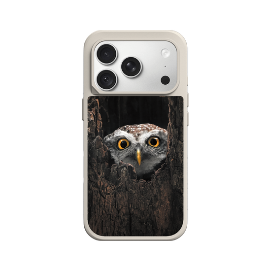 Owl in Tree