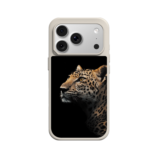 Indochinese Leopard