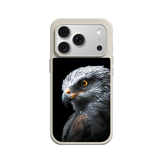 Black Kite
