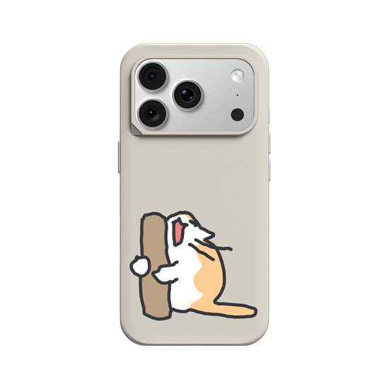 What is the cat doing?