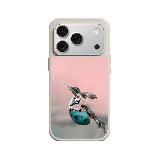 Aquanimal Coccinelle