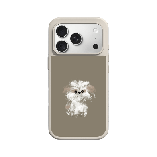 A little Shih Tzu