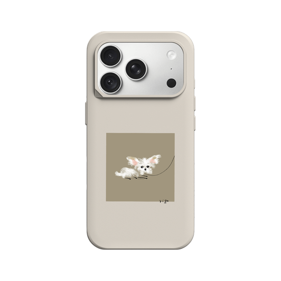 small white dog