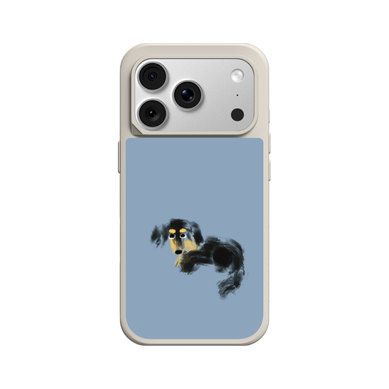 a tiny dachshund