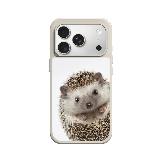 Hedgehog