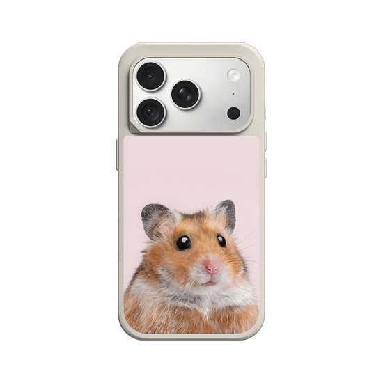 Hámster