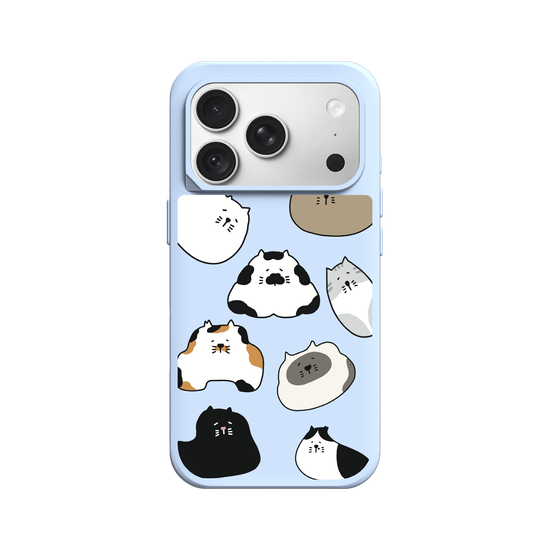 travelpaint.cat funny cats 