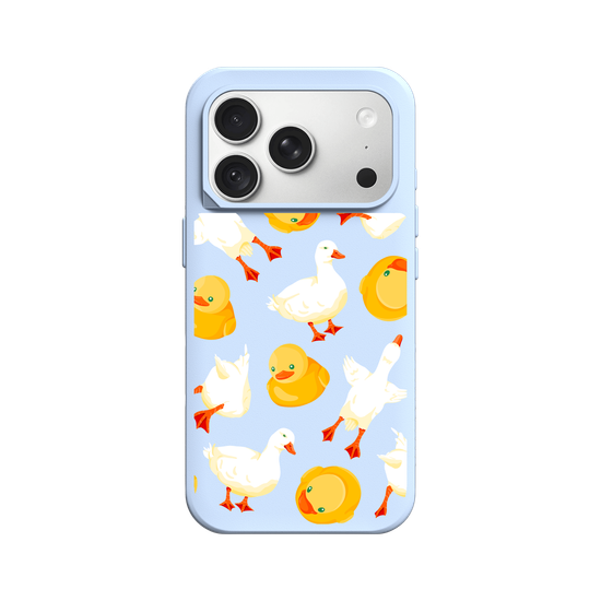 Silly goose and rubber ducks
