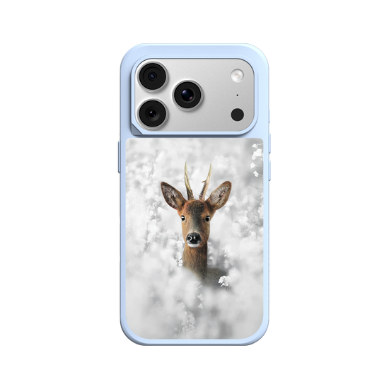 White Roe Deer