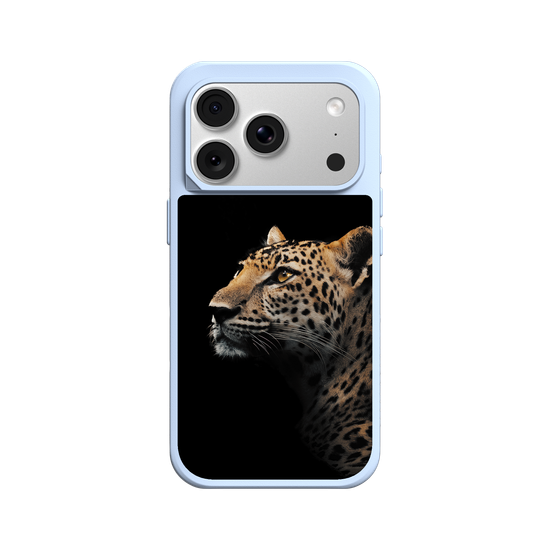 Indochinese Leopard