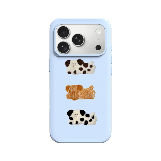 Three little dogs