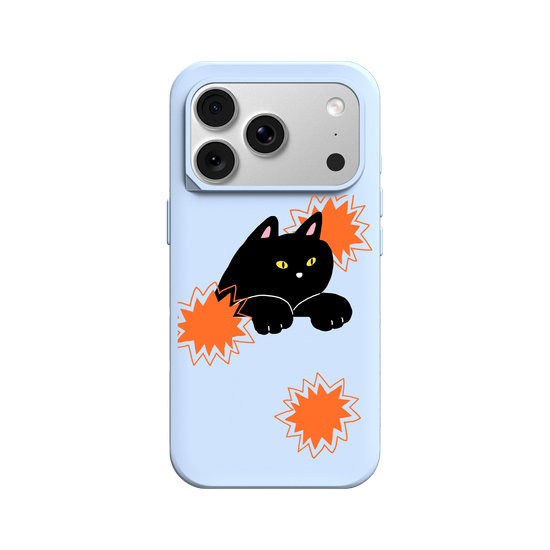 black cat