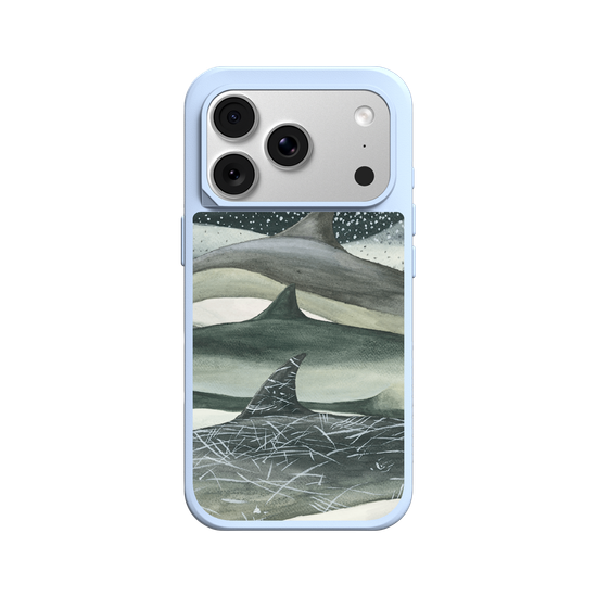 Whale colors