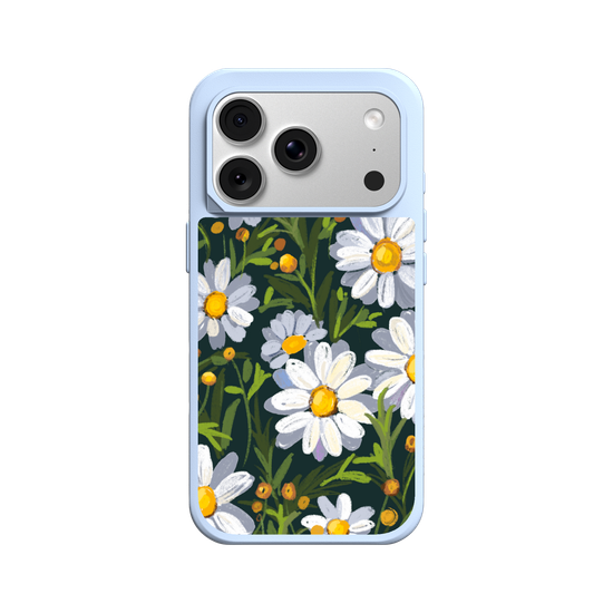 Sunny Daisy field