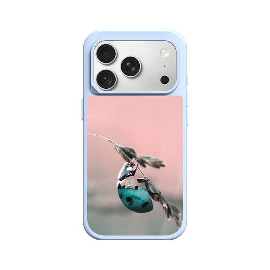 Aquanimal Mariquita
