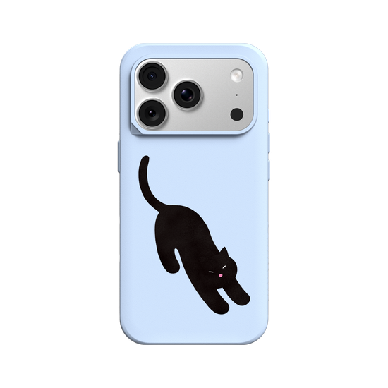 A Stretching cat