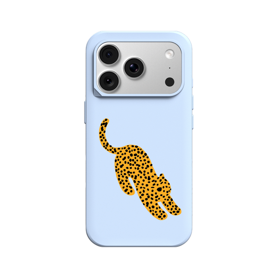 A Stretching cheetah
