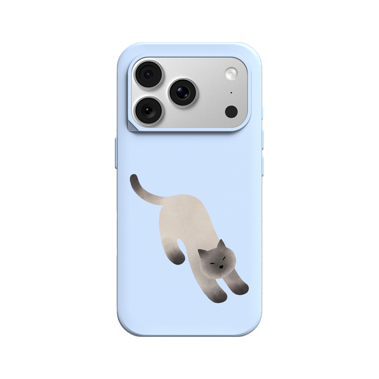 A Stretching cat