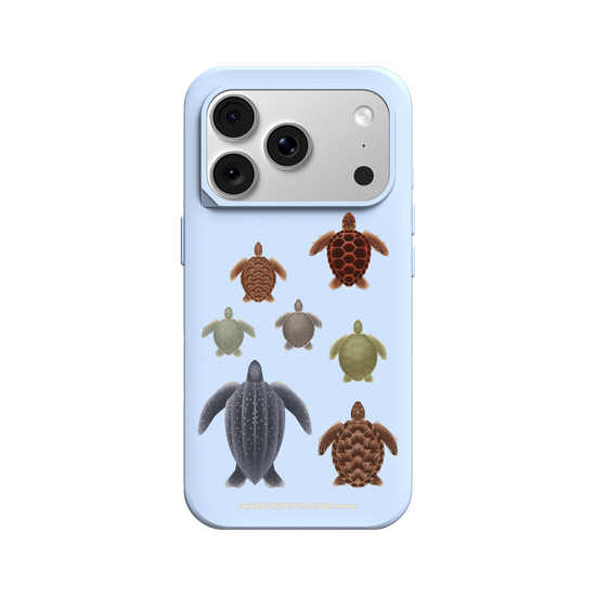 Miniature Field Guide-Sea ​​Turtle(Clear)