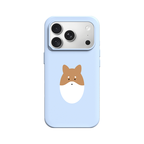 Animals - Shiba Inu Dog