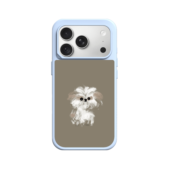 A little Shih Tzu