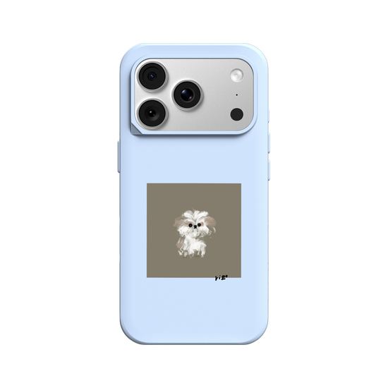 A little Shih Tzu