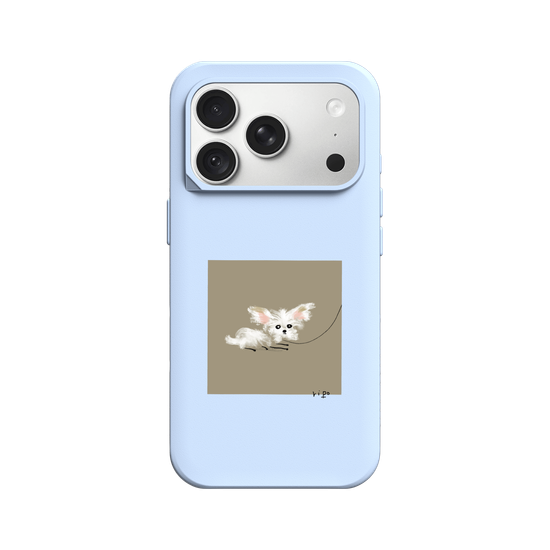 small white dog