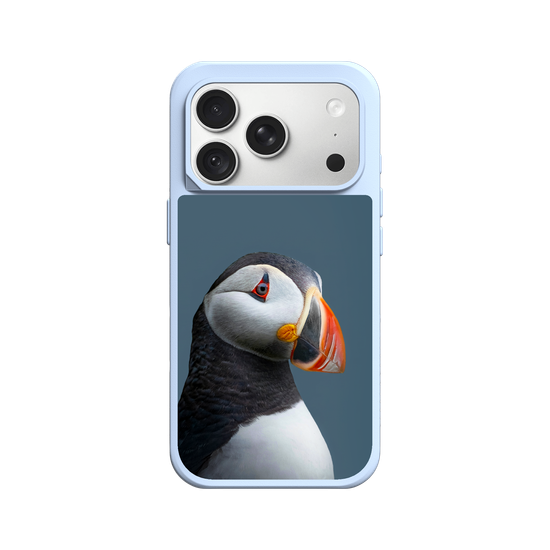 Puffin