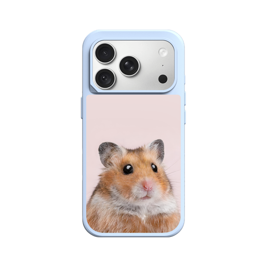 Hámster